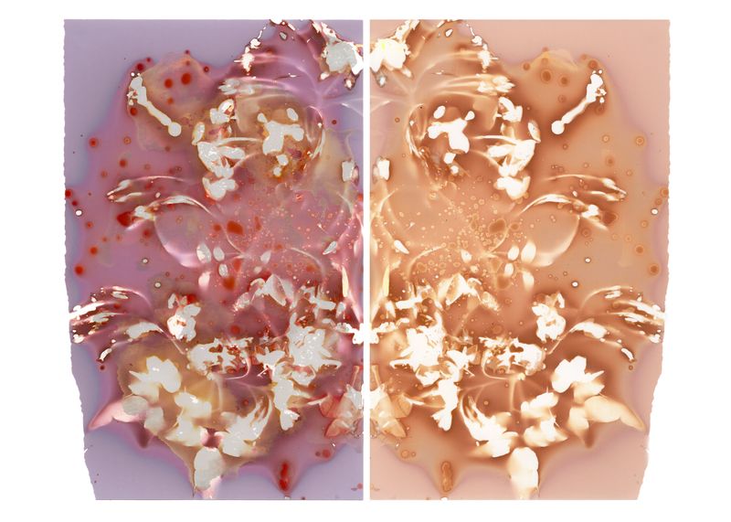 © Angela Cornish - Image from the The Secret Lives of Spring Blooms photography project