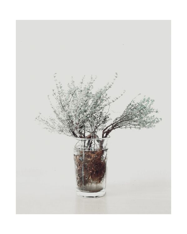 © Mathilde Dieudonné - Image from the Le Silence et Le Bruit /// Silence and Noise photography project