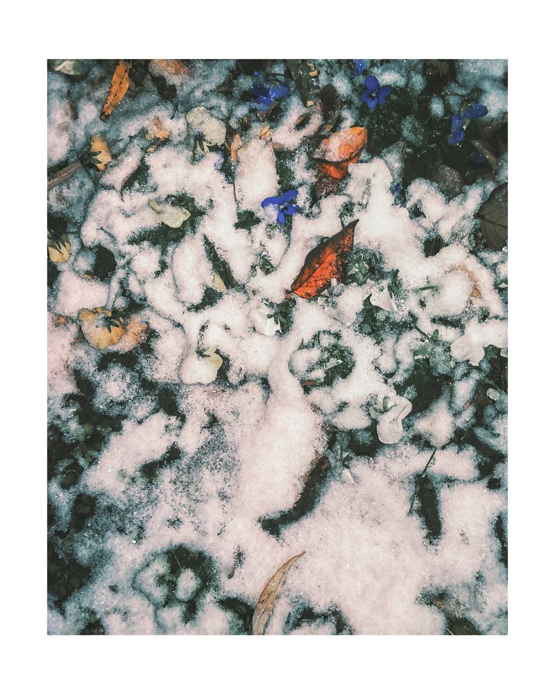 © Mathilde Dieudonné - Image from the Le Silence et Le Bruit /// Silence and Noise photography project