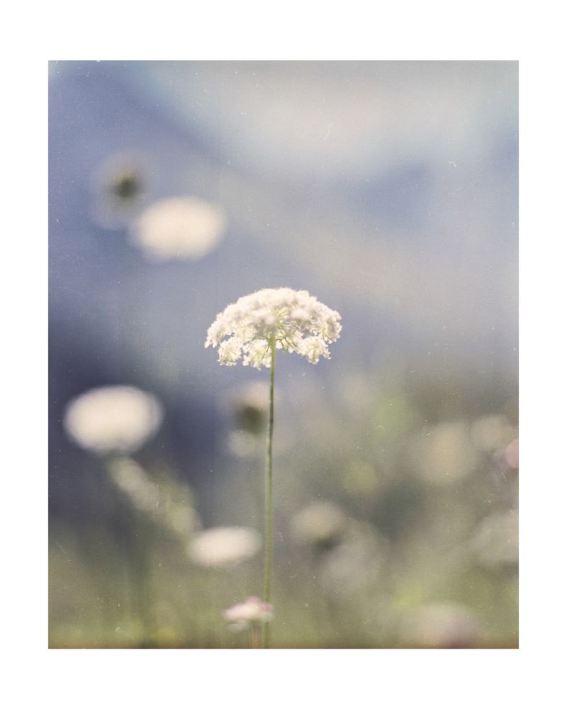 © Mathilde Dieudonné - Image from the Le Silence et Le Bruit /// Silence and Noise photography project