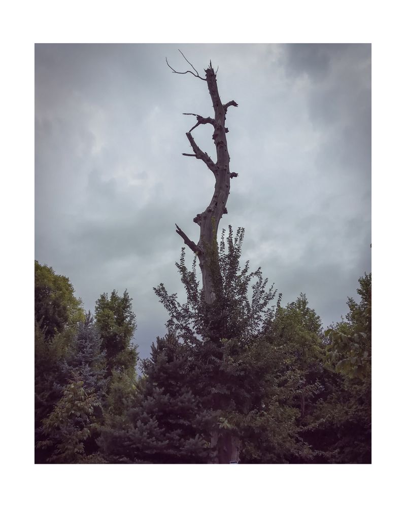 © Mathilde Dieudonné - Image from the Le Silence et Le Bruit /// Silence and Noise photography project
