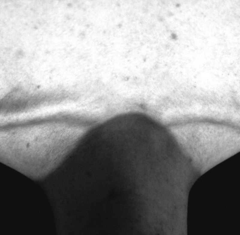 © Gim - Image from the Corpo Zero photography project