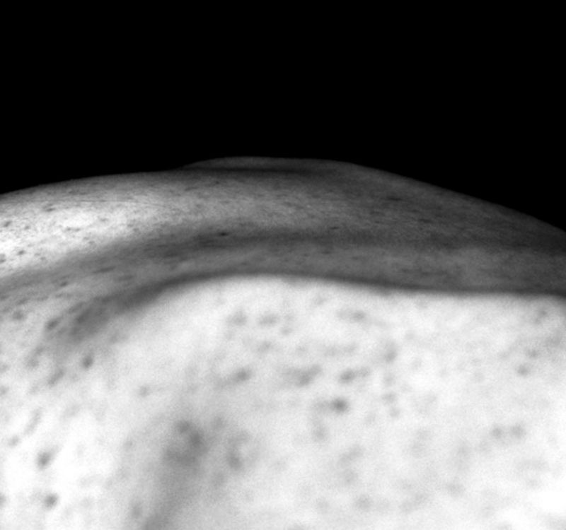 © Gim - Image from the Corpo Zero photography project