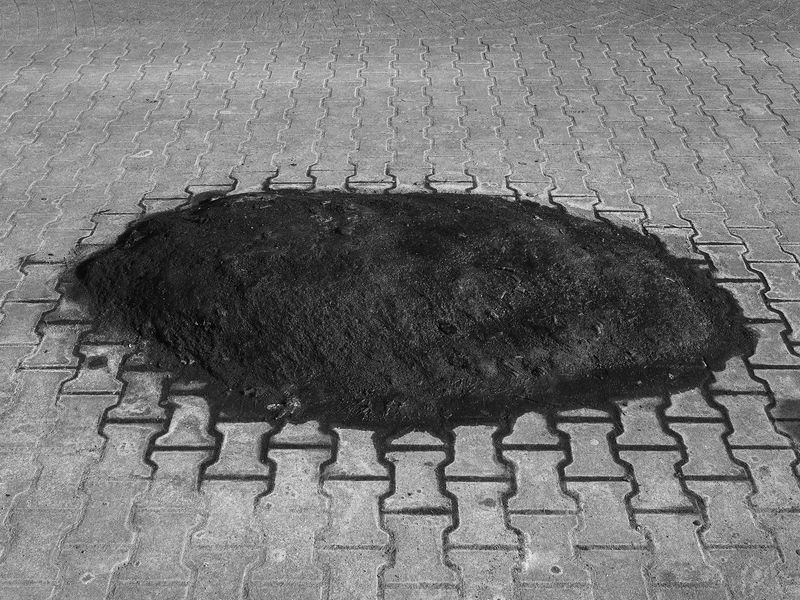 © tomek tyndyk - Image from the AKT photography project