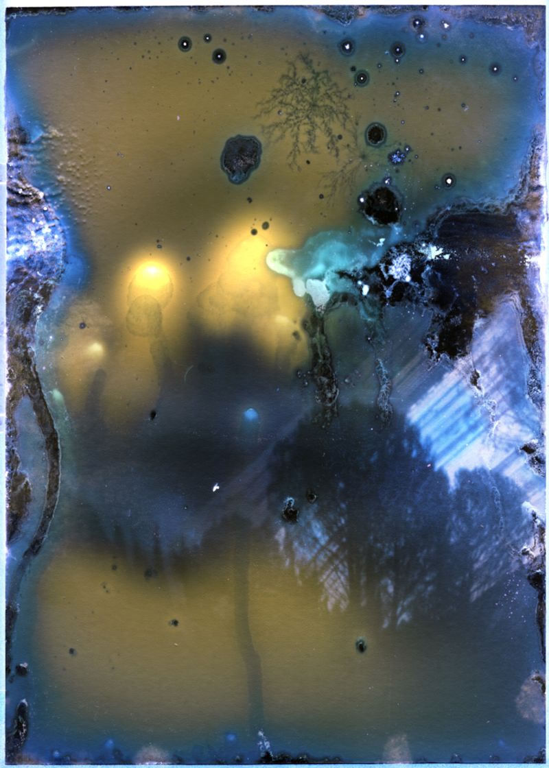 © Quentin Lacombe - Solargraphy_01_Six Month Race of the Sun_Pinhole Camera