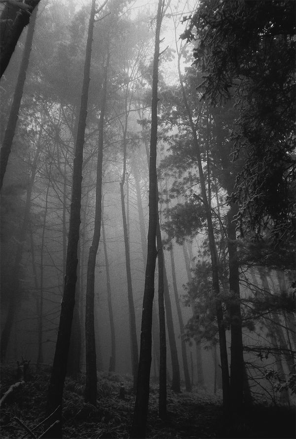 © Nathalie  Bissig - Image from the Dall' Alto photography project