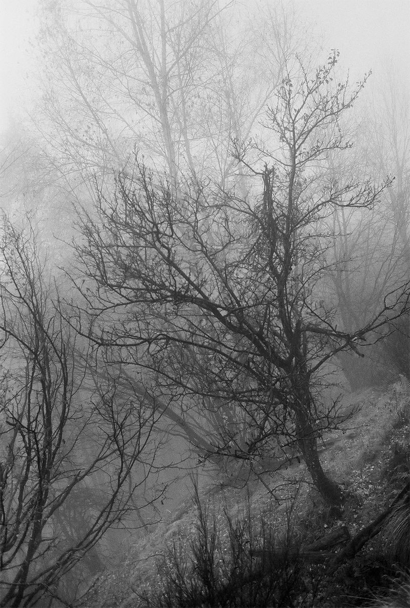 © Nathalie  Bissig - Image from the Dall' Alto photography project