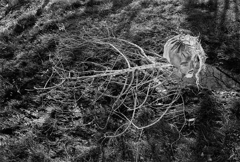 © Nathalie  Bissig - Image from the Dall' Alto photography project