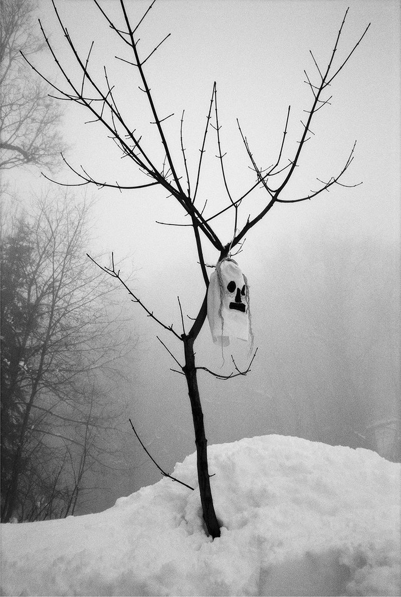 © Nathalie  Bissig - Image from the Dall' Alto photography project
