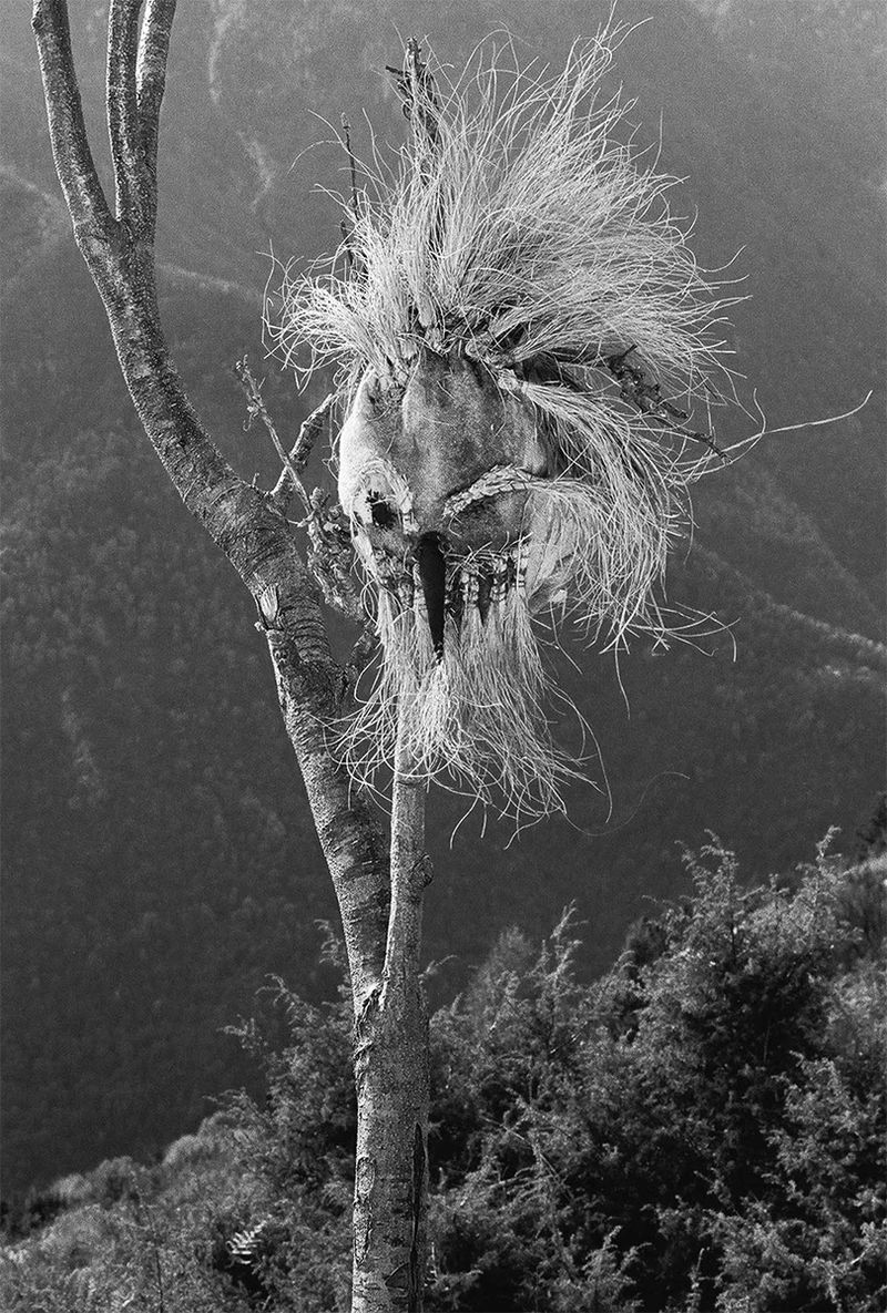 © Nathalie  Bissig - Image from the Dall' Alto photography project