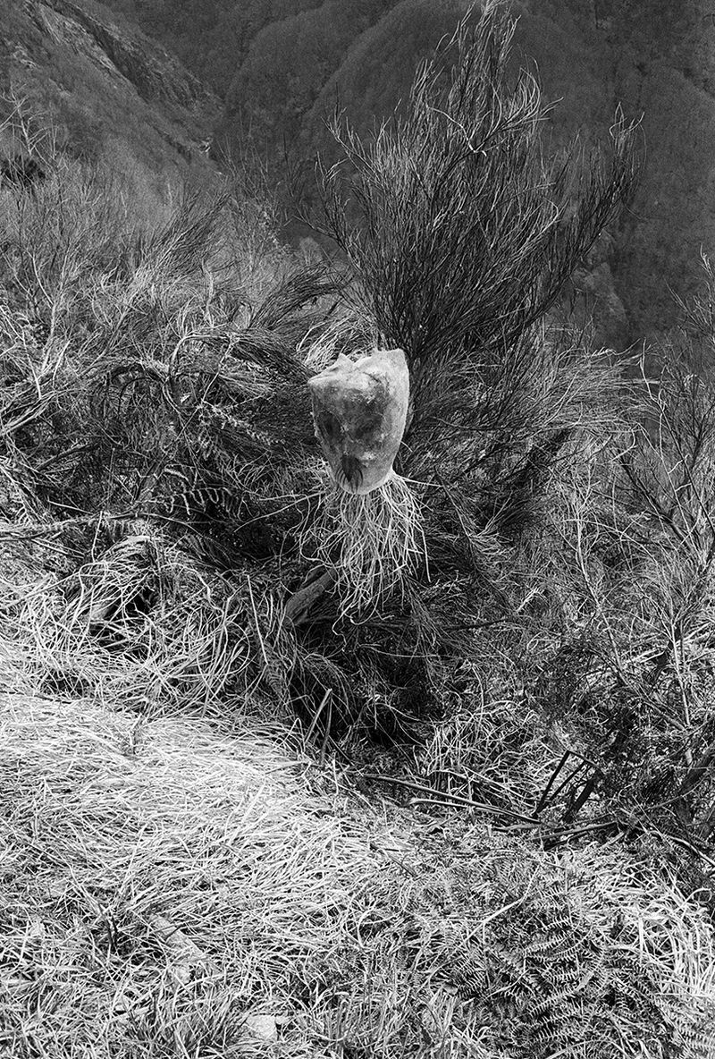 © Nathalie  Bissig - Image from the Dall' Alto photography project