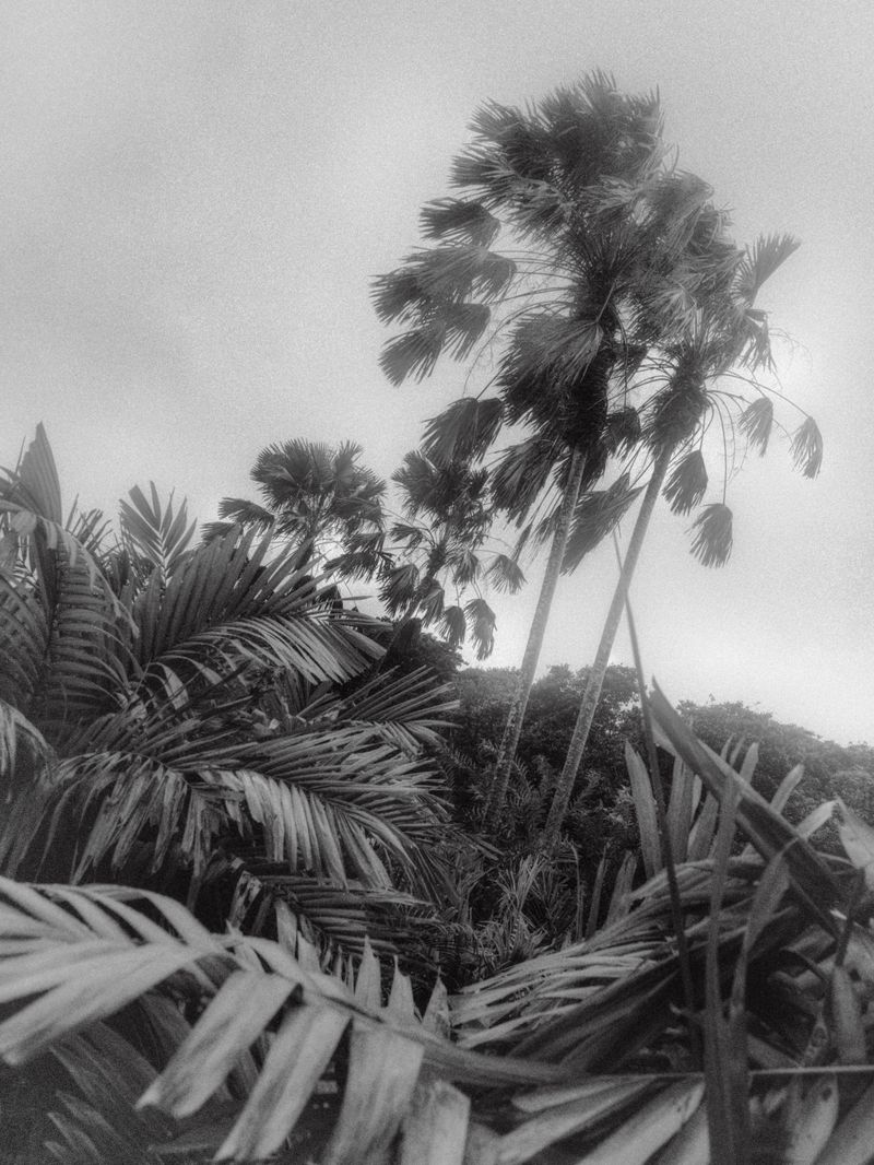 © Miki Frances Sankhara - Image from the DOUENS photography project