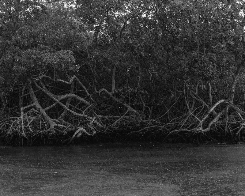 © Miki Frances Sankhara - Image from the DOUENS photography project