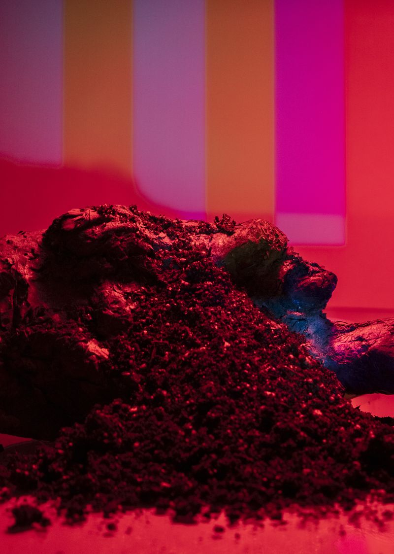 © JW Toftness - To Redecorate a Dream, X, 2024