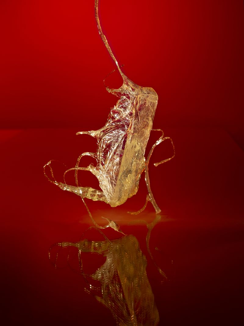 © JW Toftness - To Redecorate a Dream, IV (Facehugger), 2025.