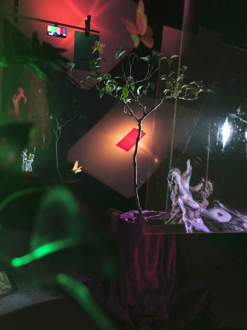© JW Toftness - When Seeds Are Sent for Flowers: Entangled with the Mirrorworld, 2026