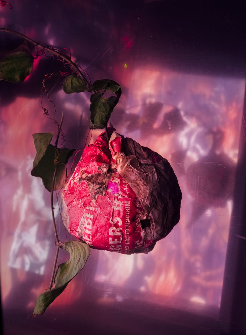 © JW Toftness - When Seeds Are Sent for Flowers: Mimicking Memlin, 2026