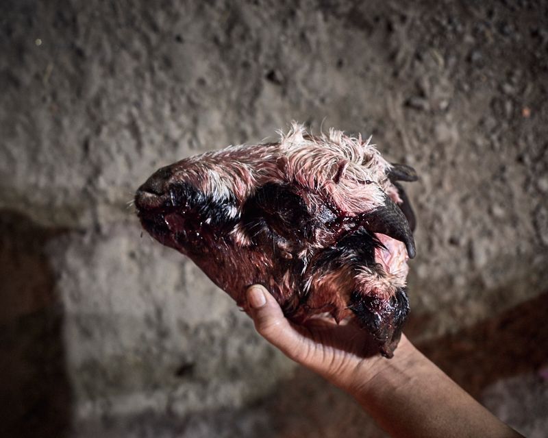 © Poulomi Basu - Image from the Centralia photography project