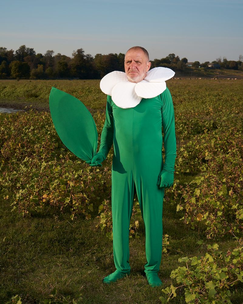 © Spasi Sohrani - The Chamomile