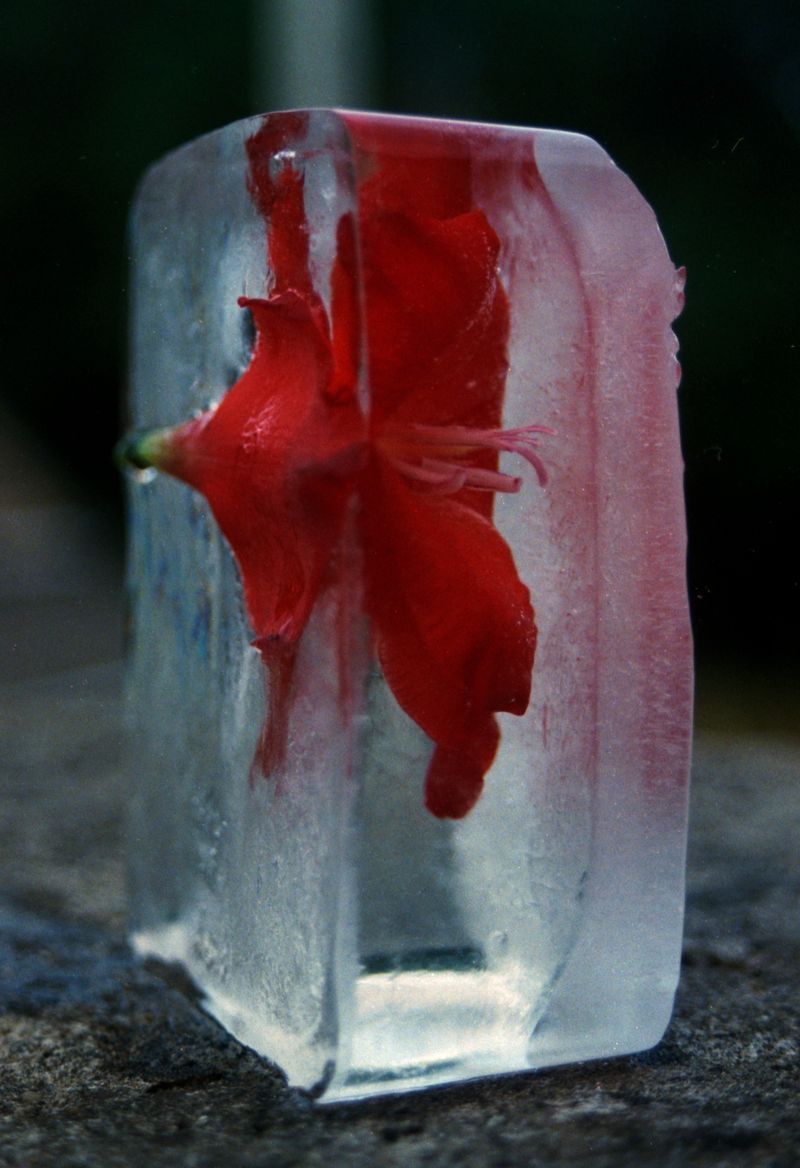 © Sidonie Ronfard - Image from the Shadows won't lie photography project