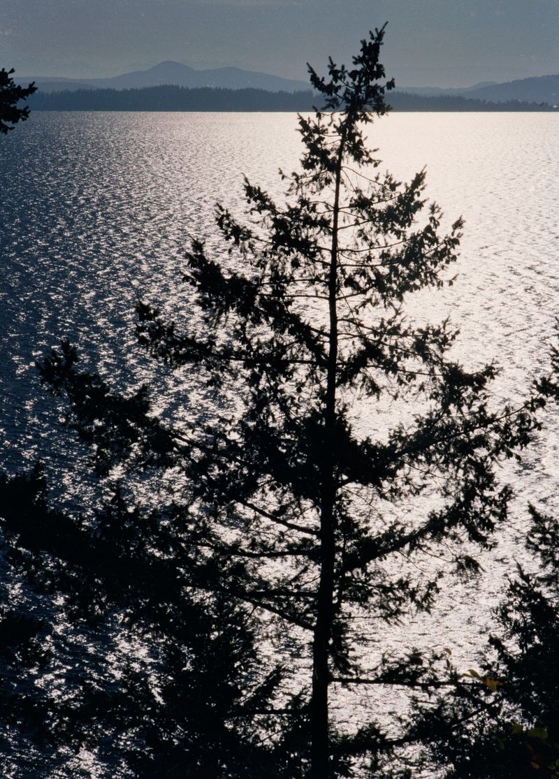 © Sidonie Ronfard - Image from the Shadows won't lie photography project