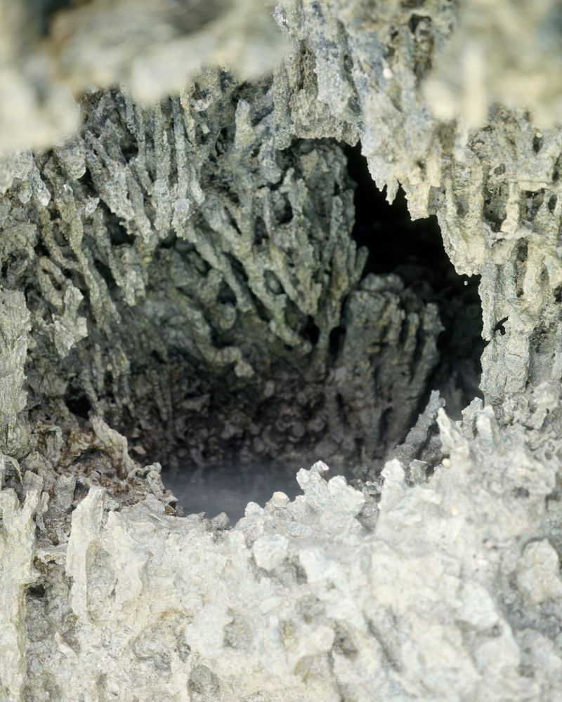 © Sidonie Ronfard - Image from the Shadows won't lie photography project