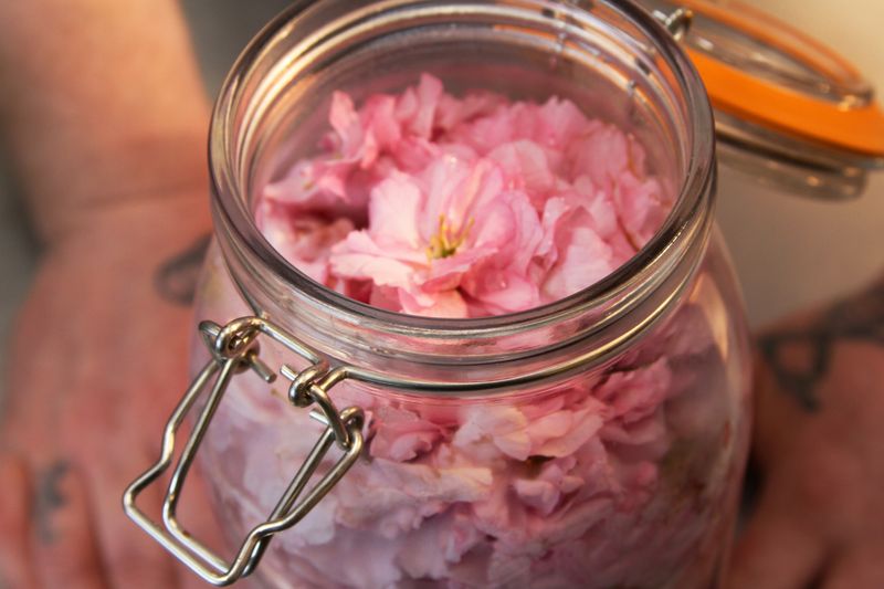 © Claire Dunne - 8. Cherry Sherry Cobbler