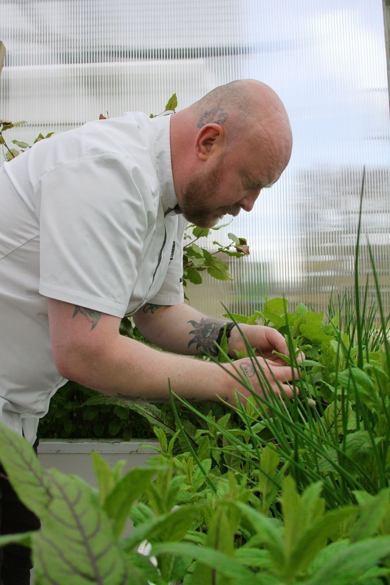 © Claire Dunne - 2. Growth