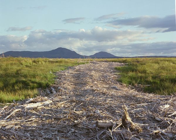 © Sophie Gerrard - Dyke, October 2018 from the series 'The Flows'