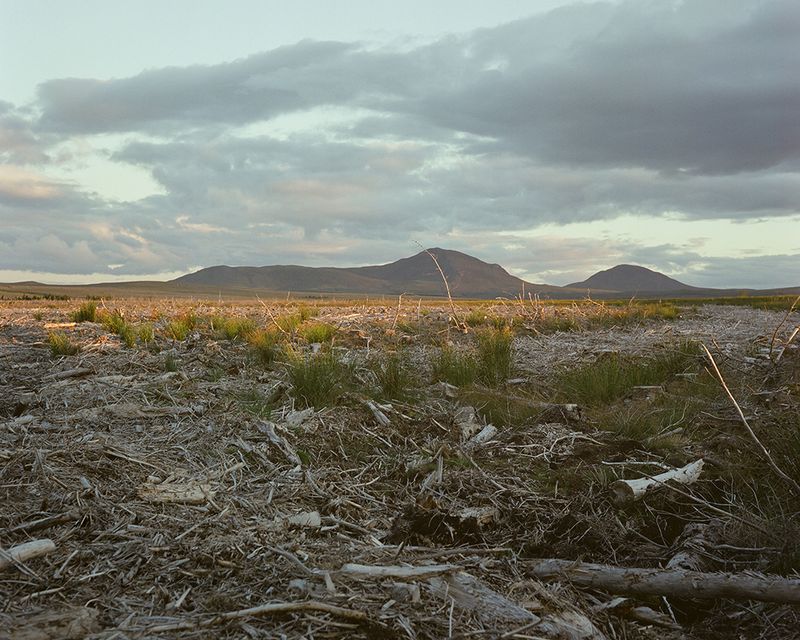 © Sophie Gerrard - Dyke, August 2018, from the series 'The Flows'