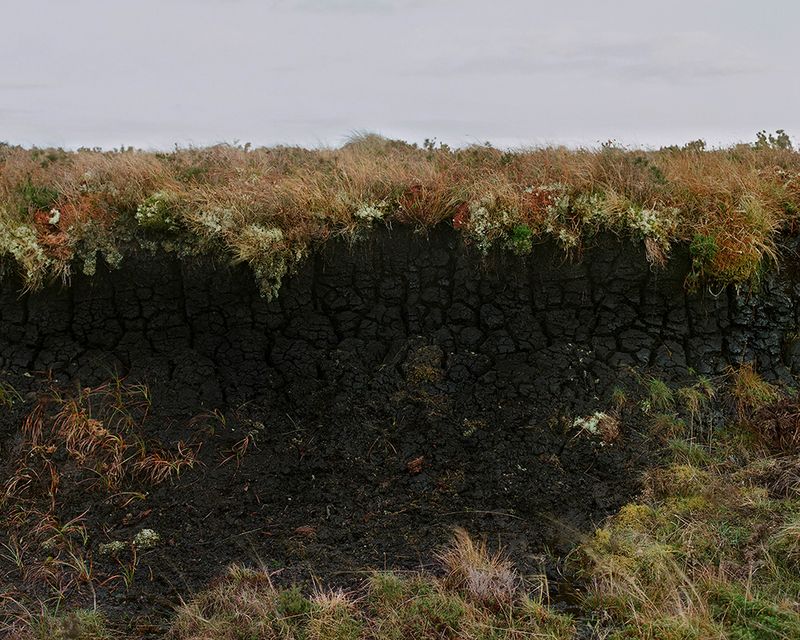 © Sophie Gerrard - Peat cross section, from the series 'The Flows'