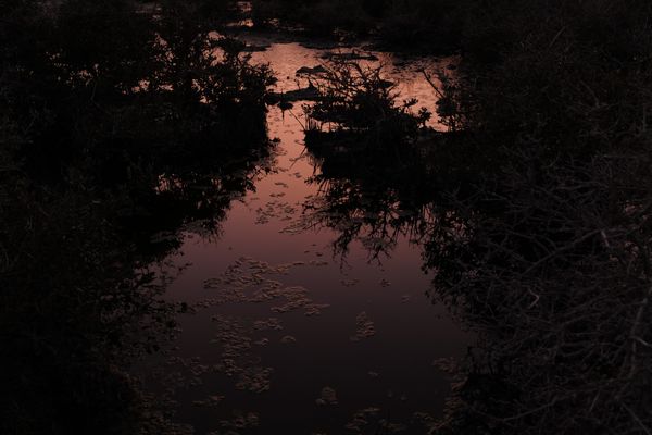 © Aziz Motawa - Image from the Intertidal photography project