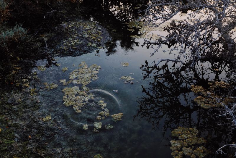 © Aziz Motawa - Image from the Intertidal photography project