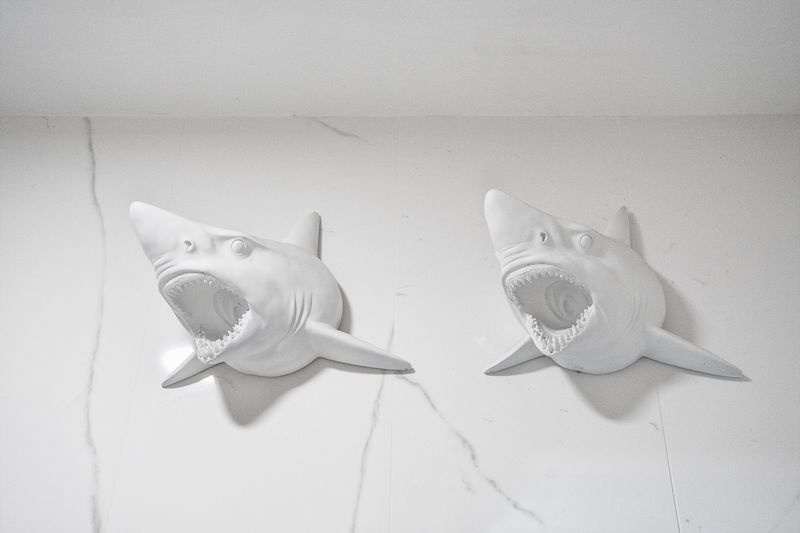 © SPIROS ZERVOUDAKIS - Image from the A1 photography project