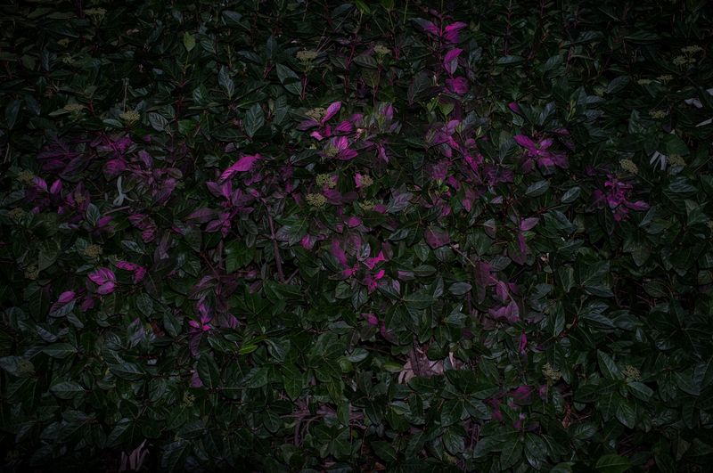 © SPIROS ZERVOUDAKIS - Image from the A1 photography project