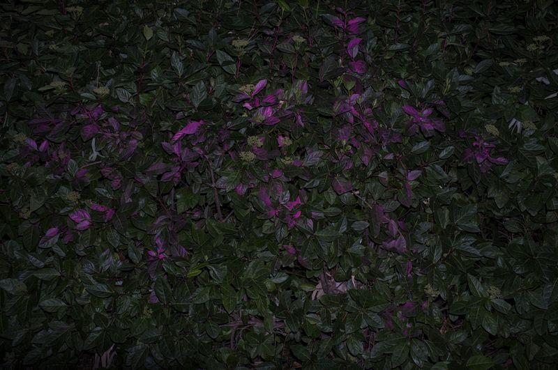 © SPIROS ZERVOUDAKIS - Image from the A1 photography project