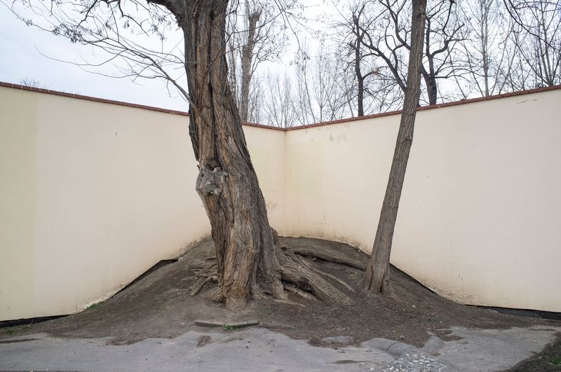 © SPIROS ZERVOUDAKIS - Image from the A1 photography project