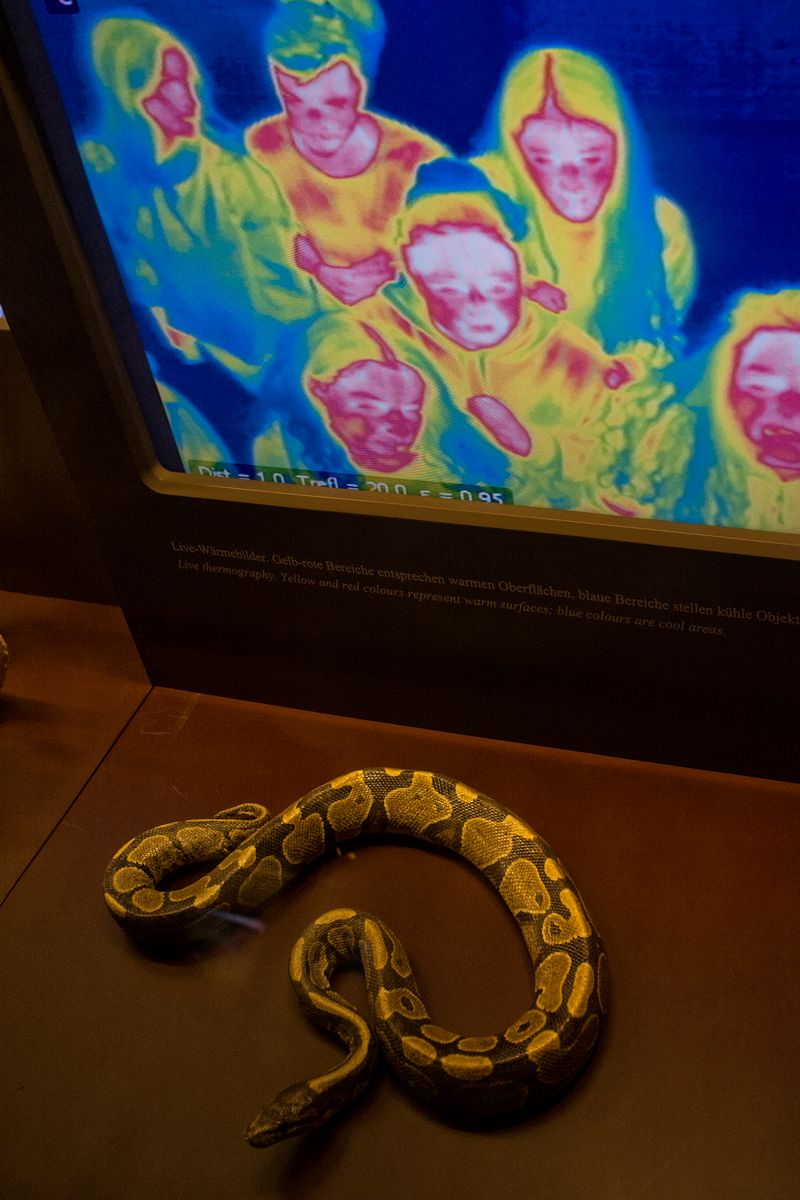 © SPIROS ZERVOUDAKIS - Image from the A1 photography project