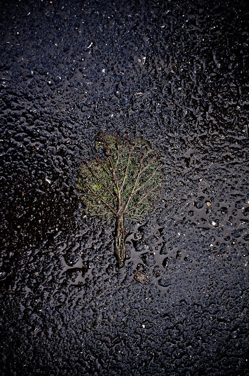 © SPIROS ZERVOUDAKIS - Image from the Labyrhythm photography project