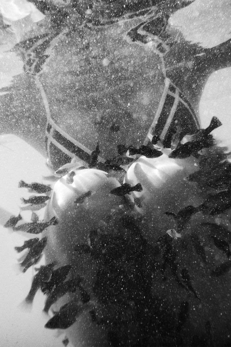 © SPIROS ZERVOUDAKIS - Image from the Here be Dragons photography project