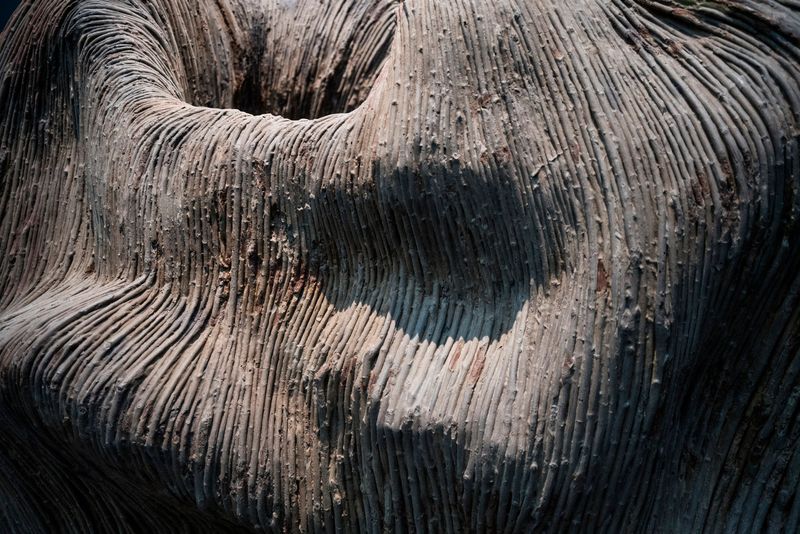 © SPIROS ZERVOUDAKIS - Image from the Here be Dragons photography project