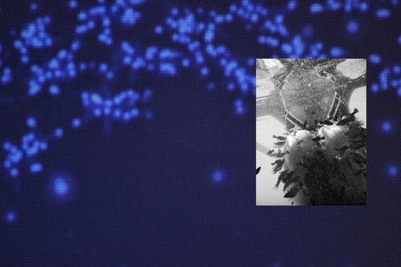 © SPIROS ZERVOUDAKIS - Image from the Here be Dragons photography project