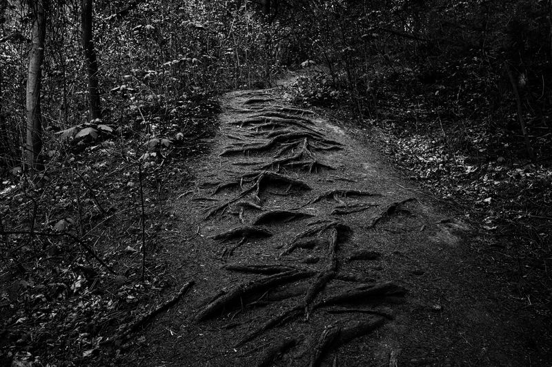 © SPIROS ZERVOUDAKIS - Image from the Here be Dragons photography project