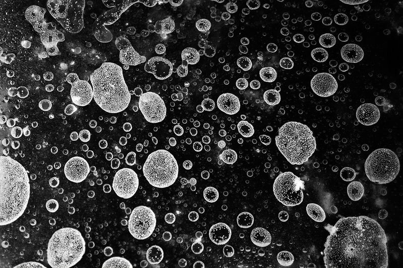 © SPIROS ZERVOUDAKIS - Image from the Here be Dragons photography project