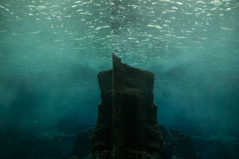 © SPIROS ZERVOUDAKIS - Image from the Here be Dragons photography project