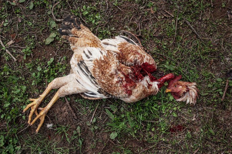 © SPIROS ZERVOUDAKIS - Image from the Here be Dragons photography project