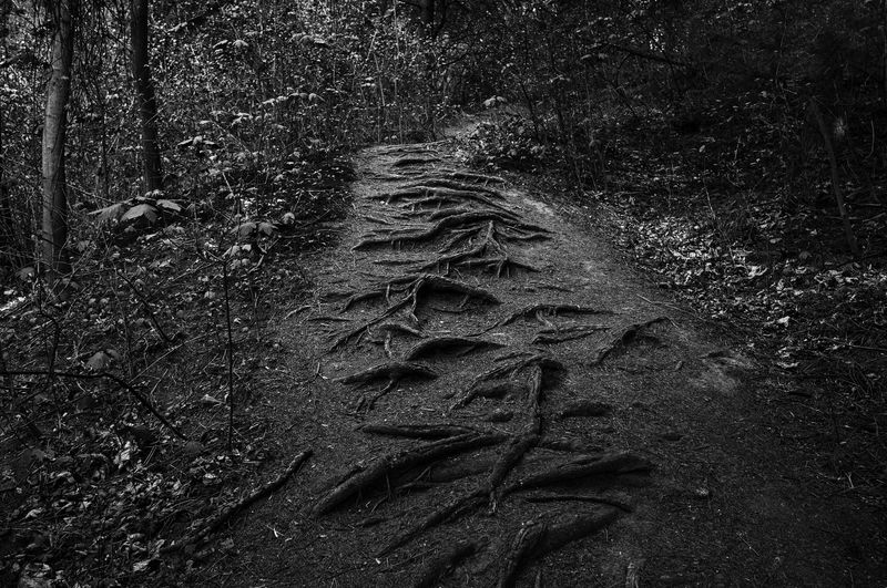 © SPIROS ZERVOUDAKIS - Image from the Here be Dragons photography project