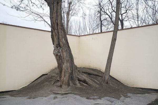 © SPIROS ZERVOUDAKIS - Image from the Here be Dragons photography project