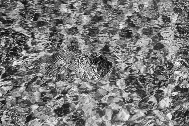 © SPIROS ZERVOUDAKIS - Image from the Here be Dragons photography project