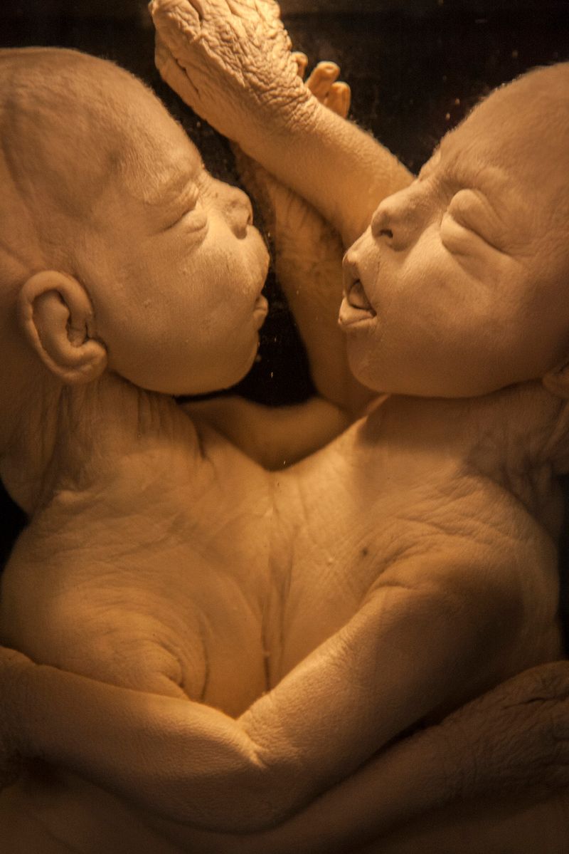 © SPIROS ZERVOUDAKIS - Image from the Here be Dragons photography project